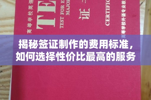 浈江揭秘签证制作的费用标准，如何选择性价比最高的服务？